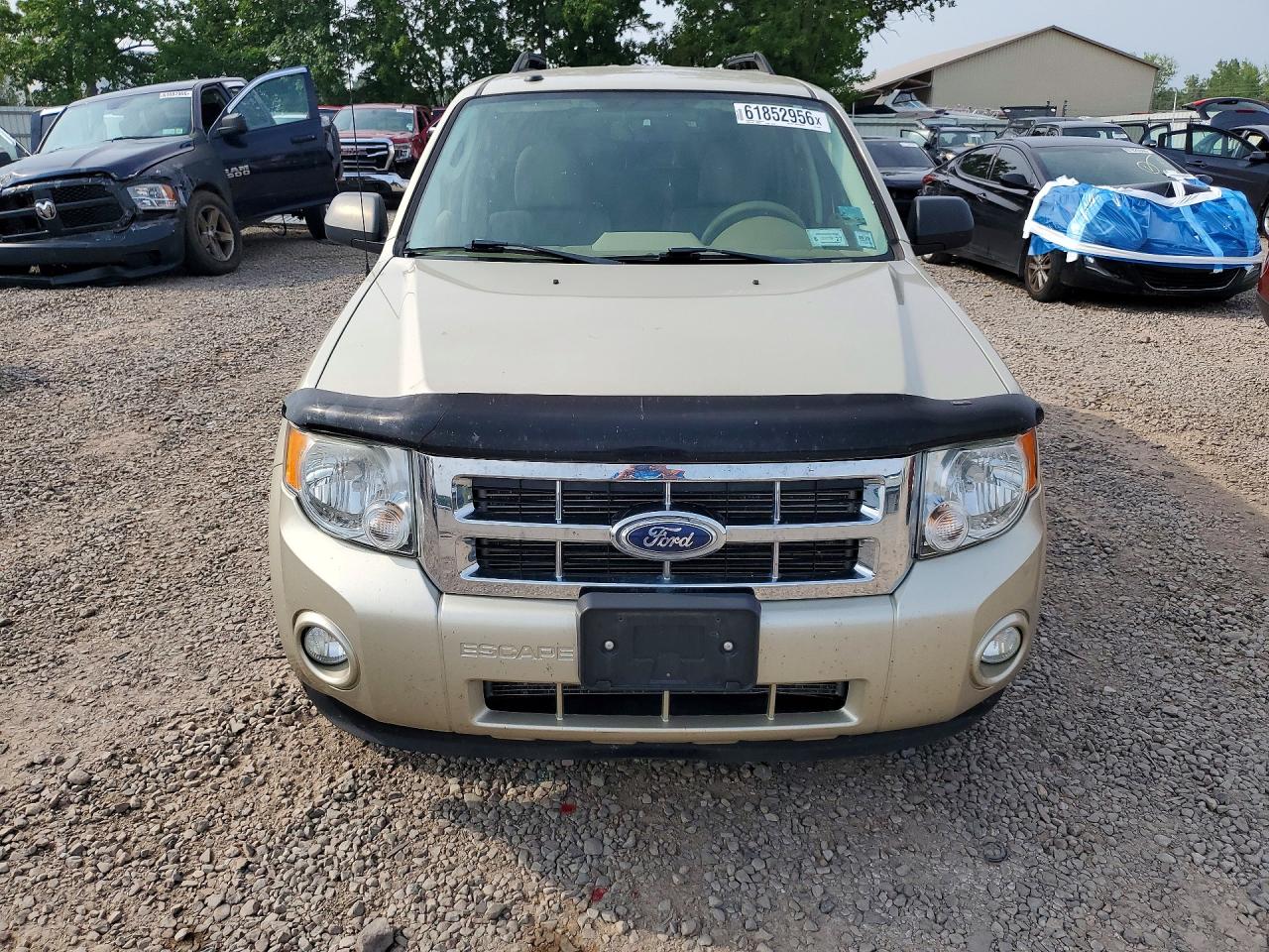 2011 Ford Escape Xlt Gold vin: 1FMCU9DG0BKA41275