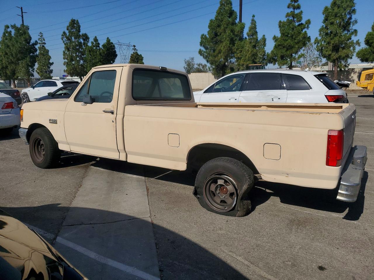 1991 Ford F150 Tan vin: 1FTEF15N8MLA03456