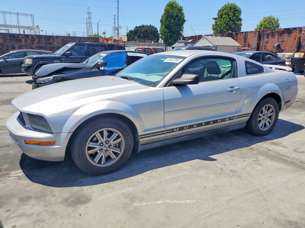 2005 Ford Mustang Silver vin: 1ZVFT80N255210781