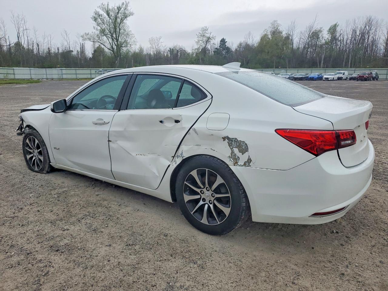 2015 Acura Tlx Tech White vin: 19UUB1F59FA026606