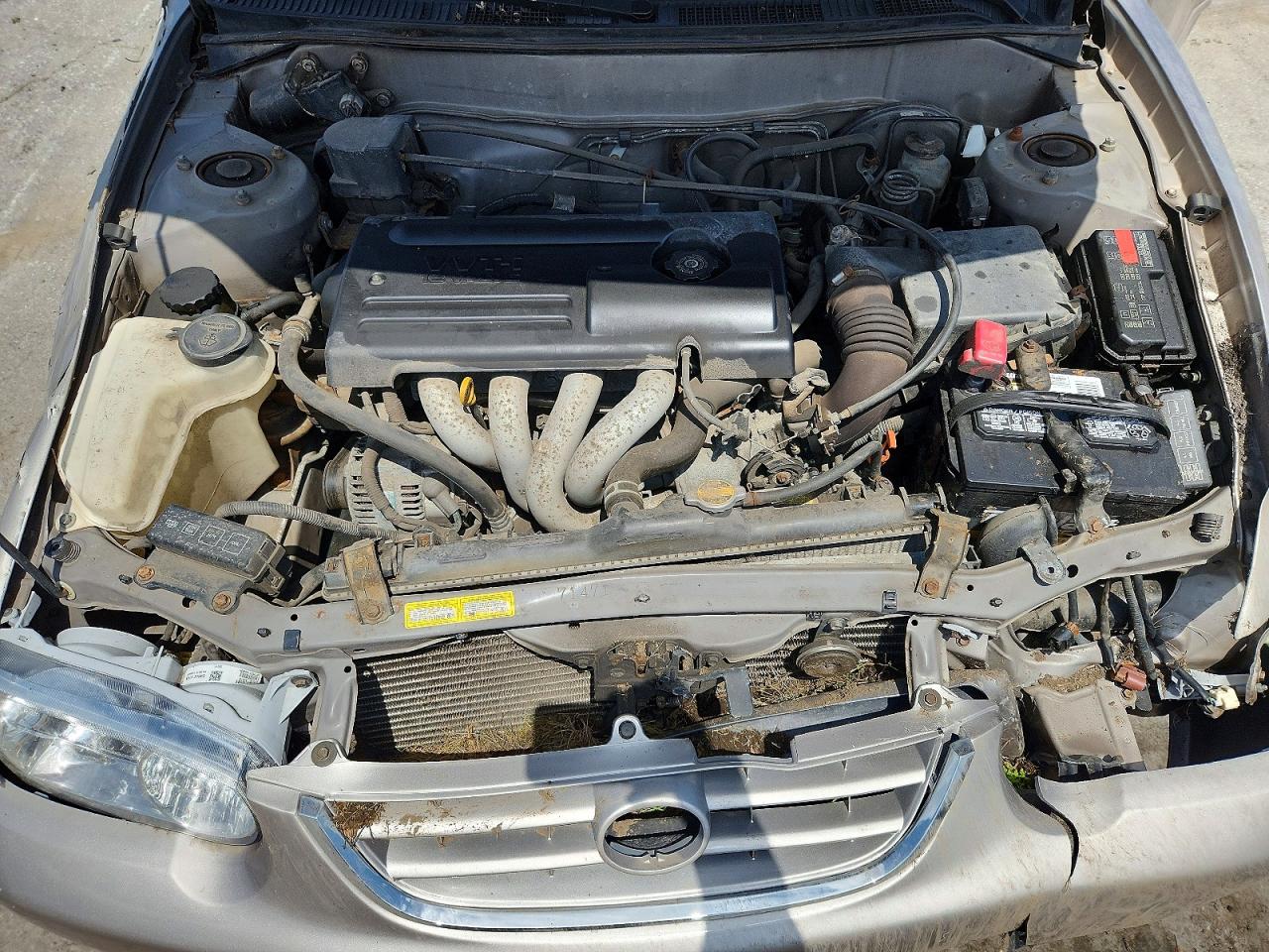 2002 Toyota Corolla Le Бежевый vin: 2T1BR12E82C548835