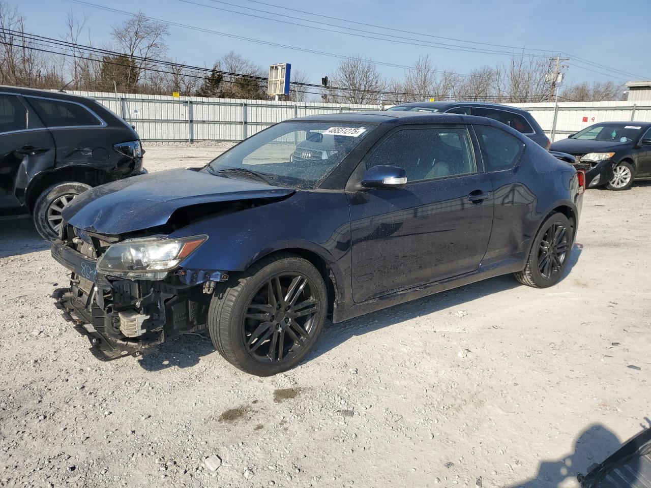 2011 Toyota Scion Tc Blue vin: JTKJF5C76B3000488