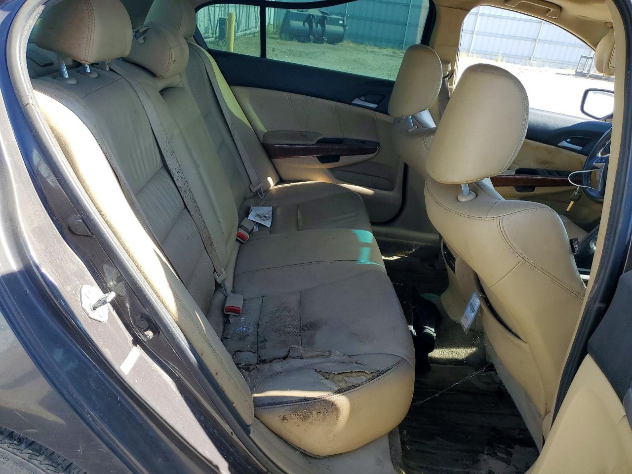 2011 Honda Accord Exl Gray vin: 1HGCP2F85BA088222