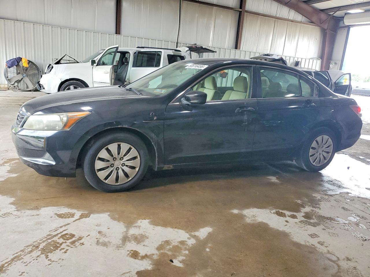 2009 Honda Accord Lx Черный vin: 1HGCP26309A029304