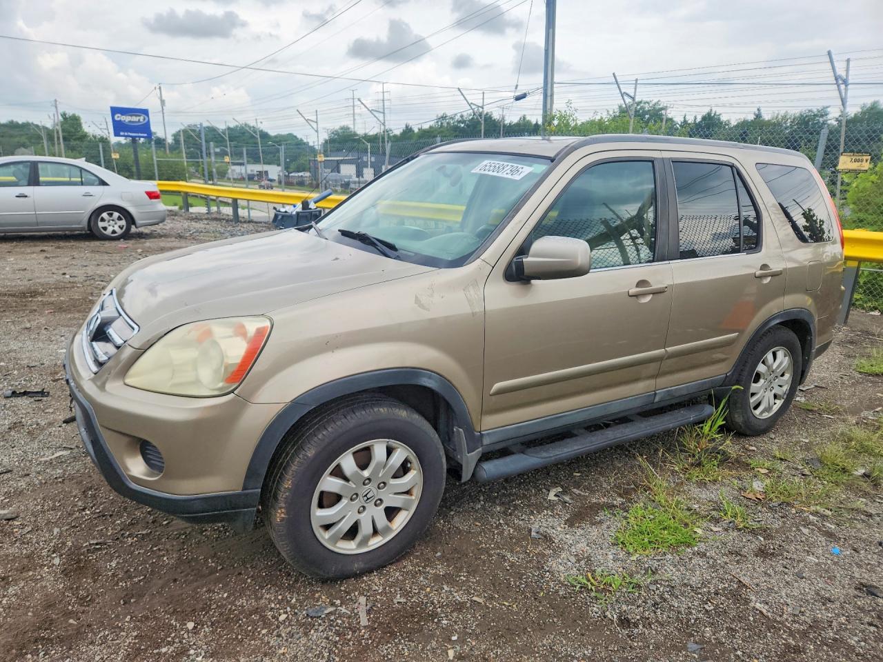2006 Honda Cr-v Se Gold vin: SHSRD78976U422258