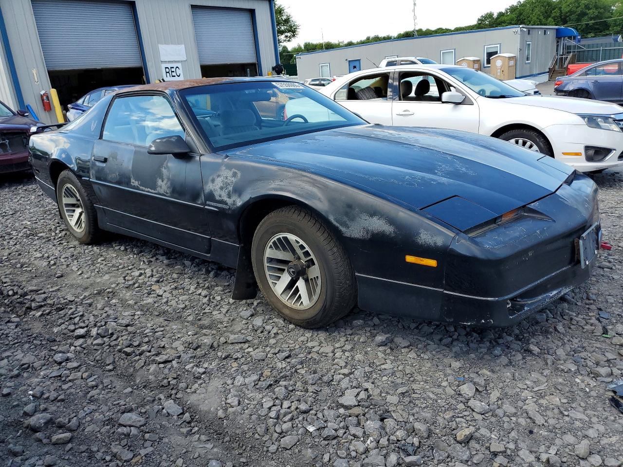 1990 Pontiac Firebird Black vin: 1G2FS23T1LL207221