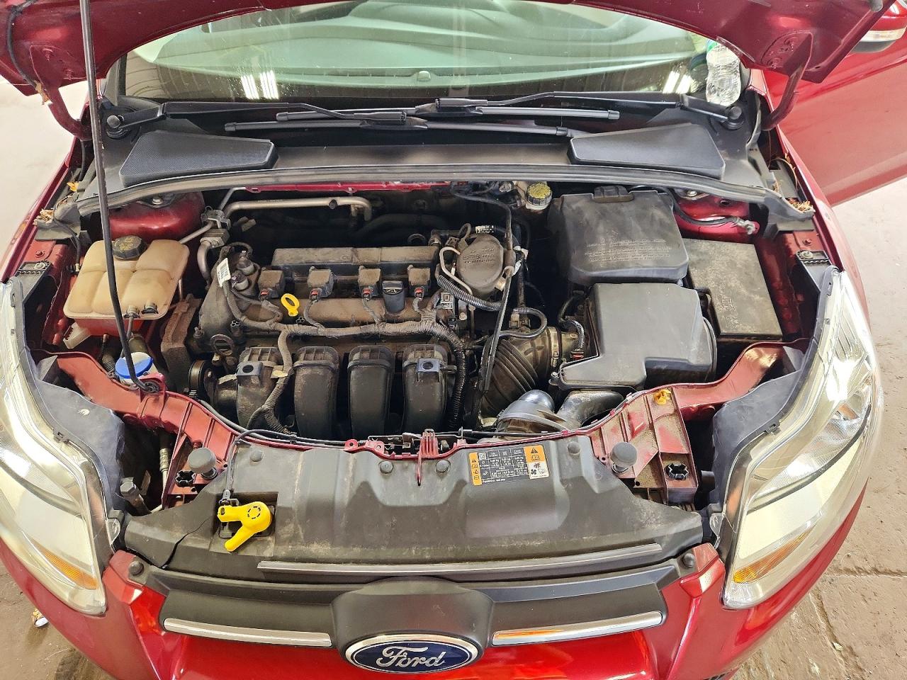 2014 Ford Focus Se Красный vin: 1FADP3F29EL439460
