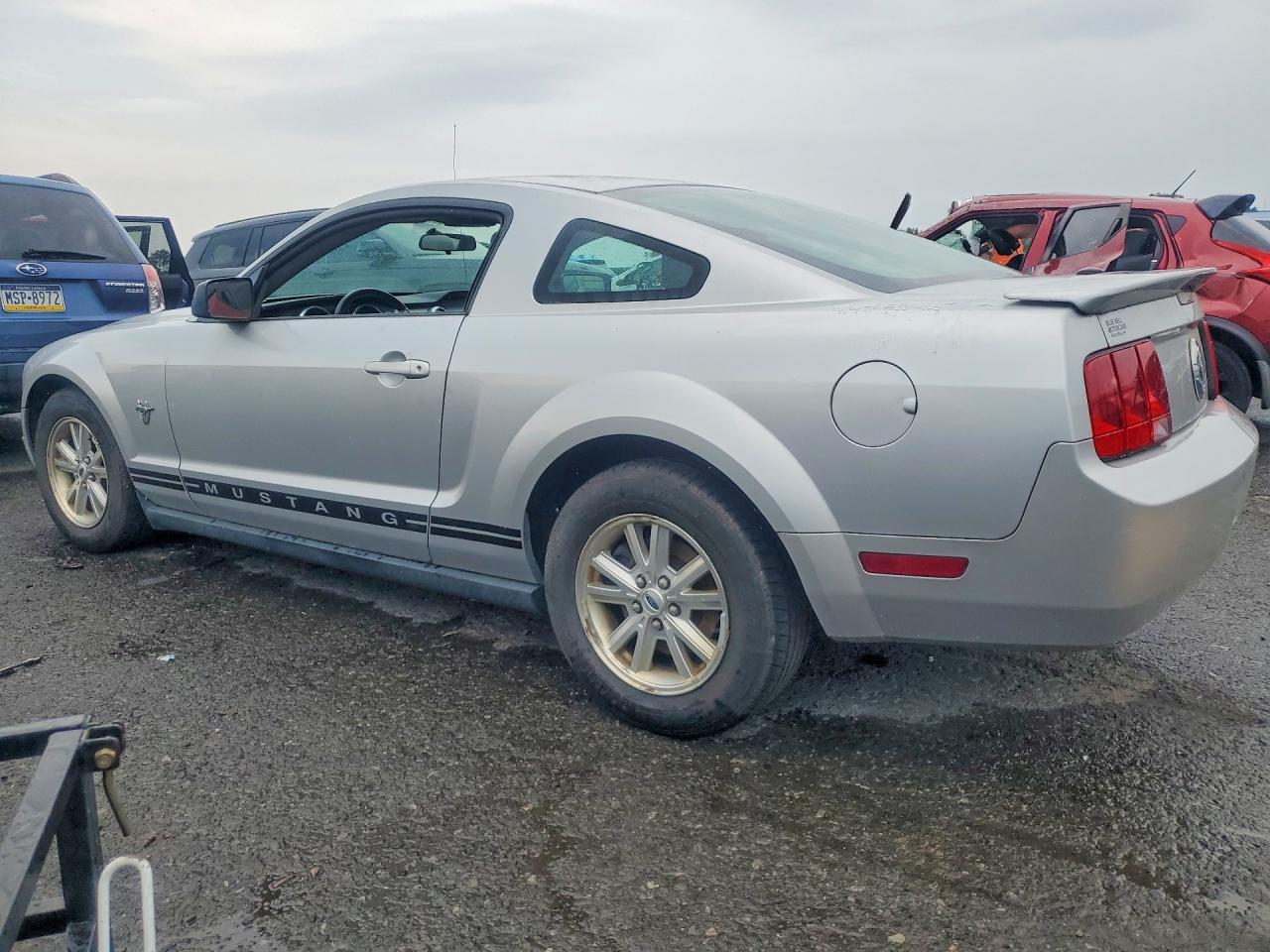 2009 Ford Mustang Gray vin: 1ZVHT80N895104804