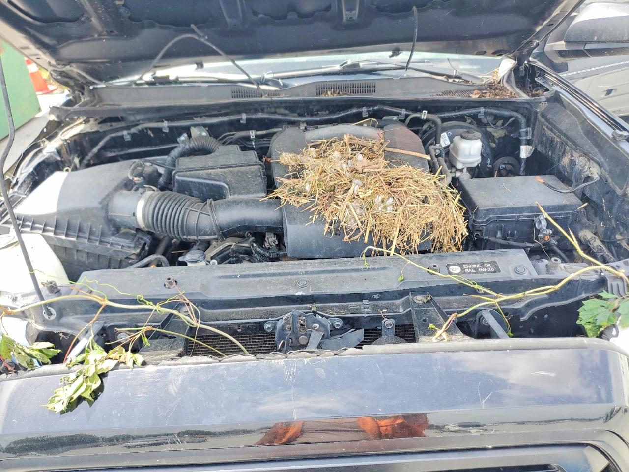 2019 Toyota Tacoma Sr V6 Черный vin: 3TMCZ5ANXKM225794