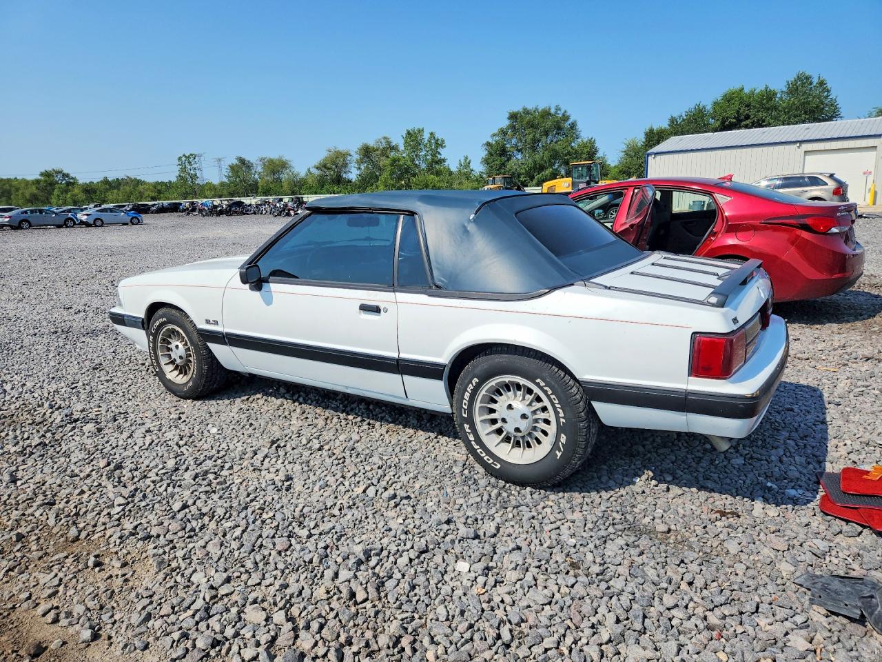 1988 Ford Mustang Lx Белый vin: 1FABP44A1JF161041