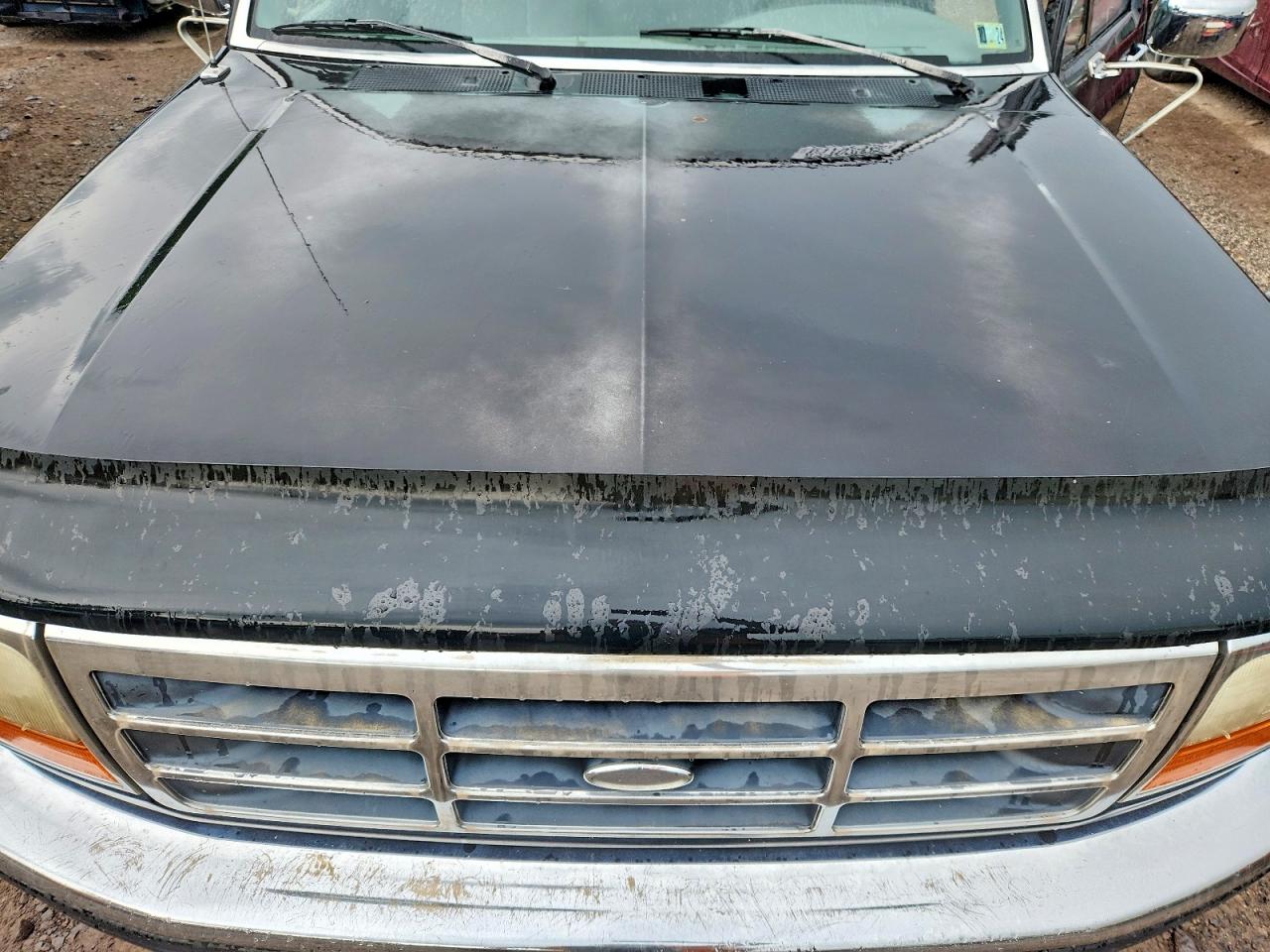 1994 Ford F150 Черный vin: 1FTEF15N6RNB13689