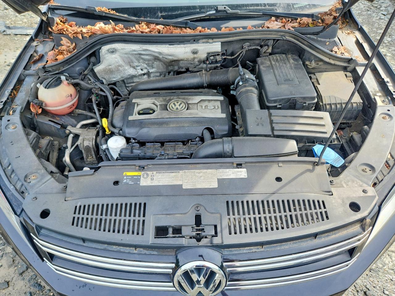 2014 Volkswagen Tiguan S Black vin: WVGAV3AXXEW608871