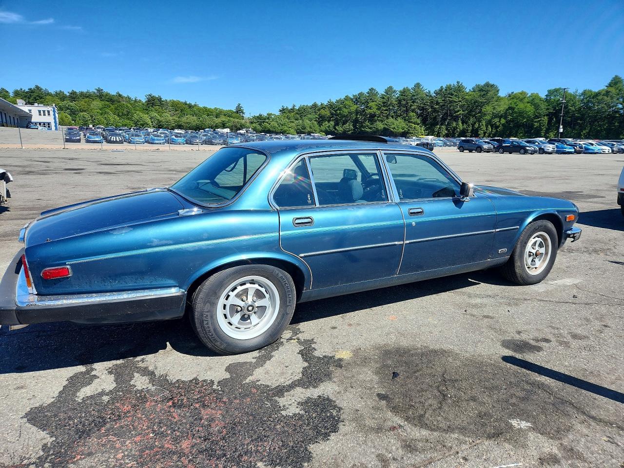 1985 Jaguar Xj6 Green vin: SAJAV1347FC411771