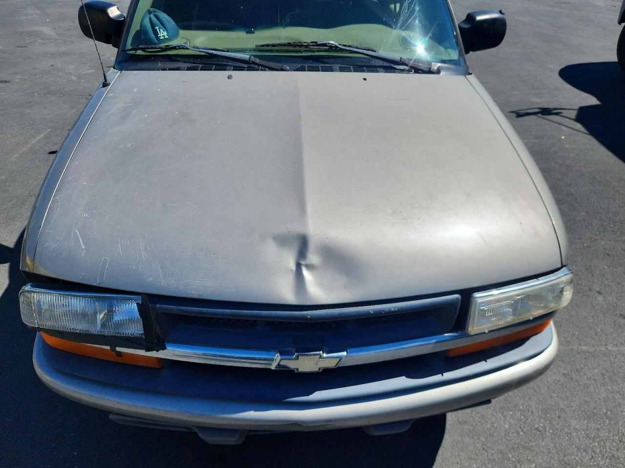 1998 Chevrolet S Truck S10 Brown vin: 1GCCS19X4W8129317