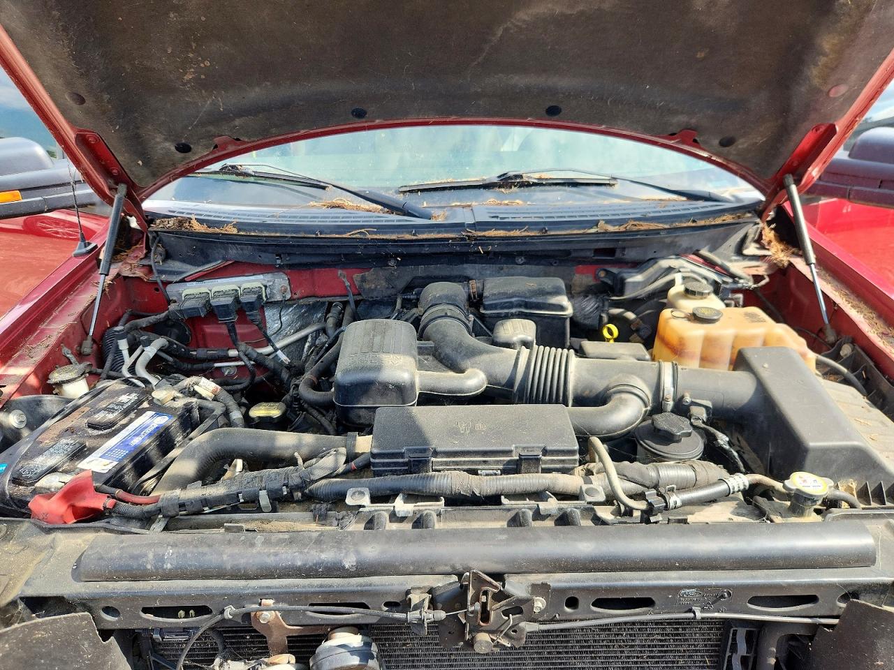 2010 Ford F150 Supercrew Red vin: 1FTFW1EV1AFD08229