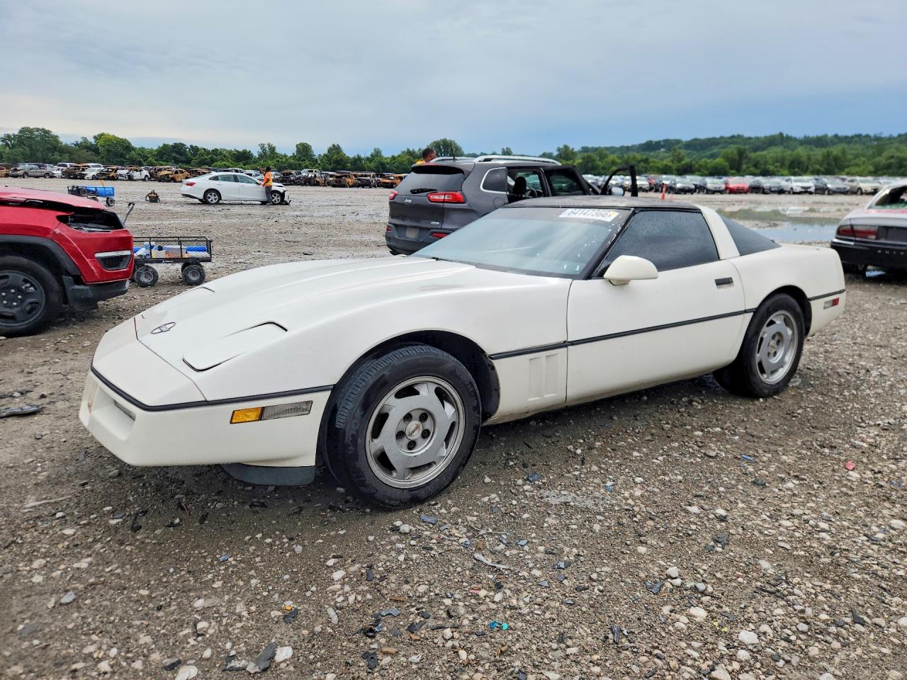 1988 Chevrolet Corvette White vin: 1G1YY2185J5104203
