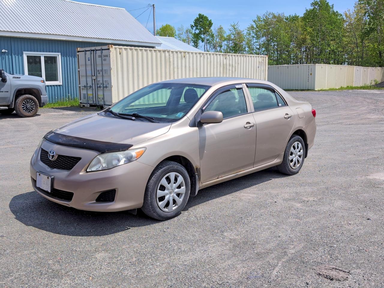 2010 Toyota Corolla Base Gold vin: 2T1BU4EE5AC210075