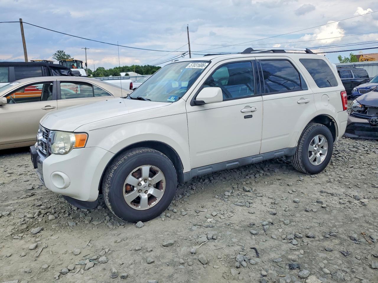2010 Ford Escape Limited White vin: 1FMCU9EGXAKD36445