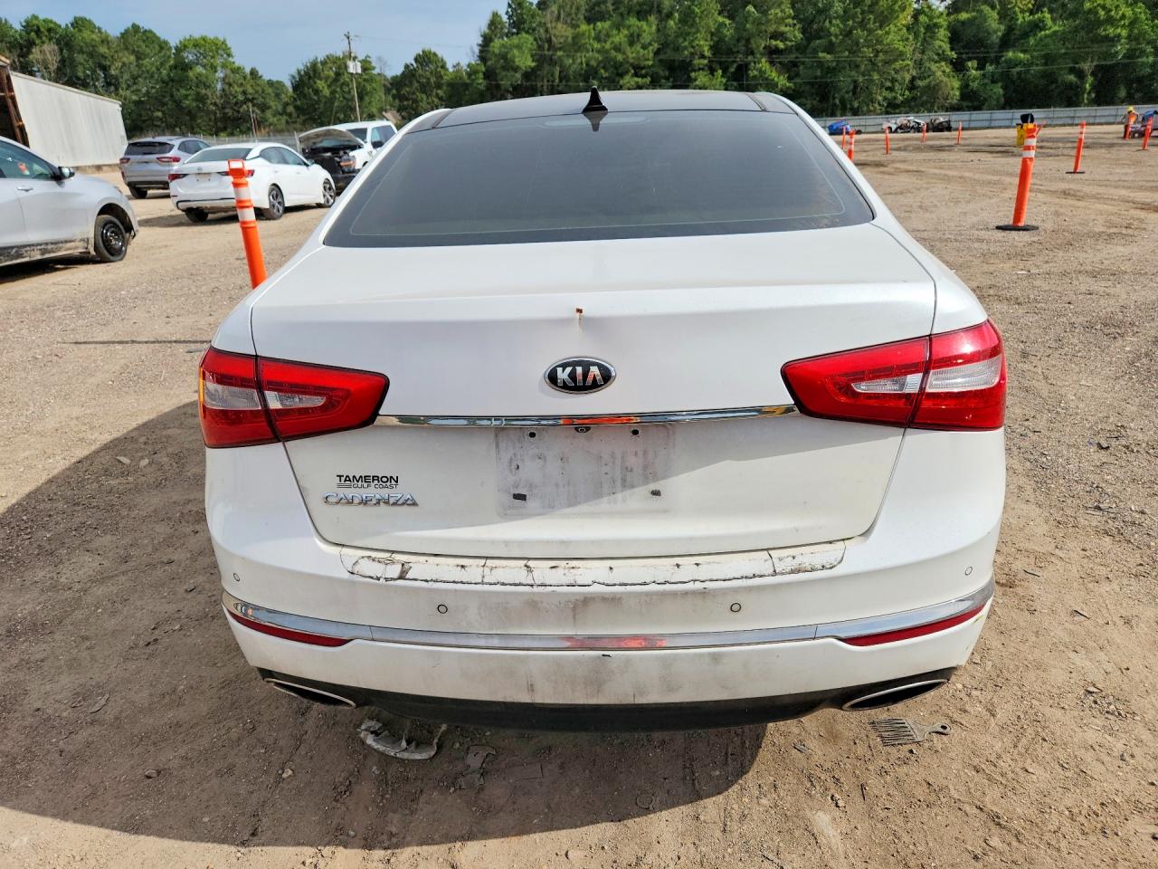 2015 Kia Cadenza Premium White vin: KNALN4D73F5185473