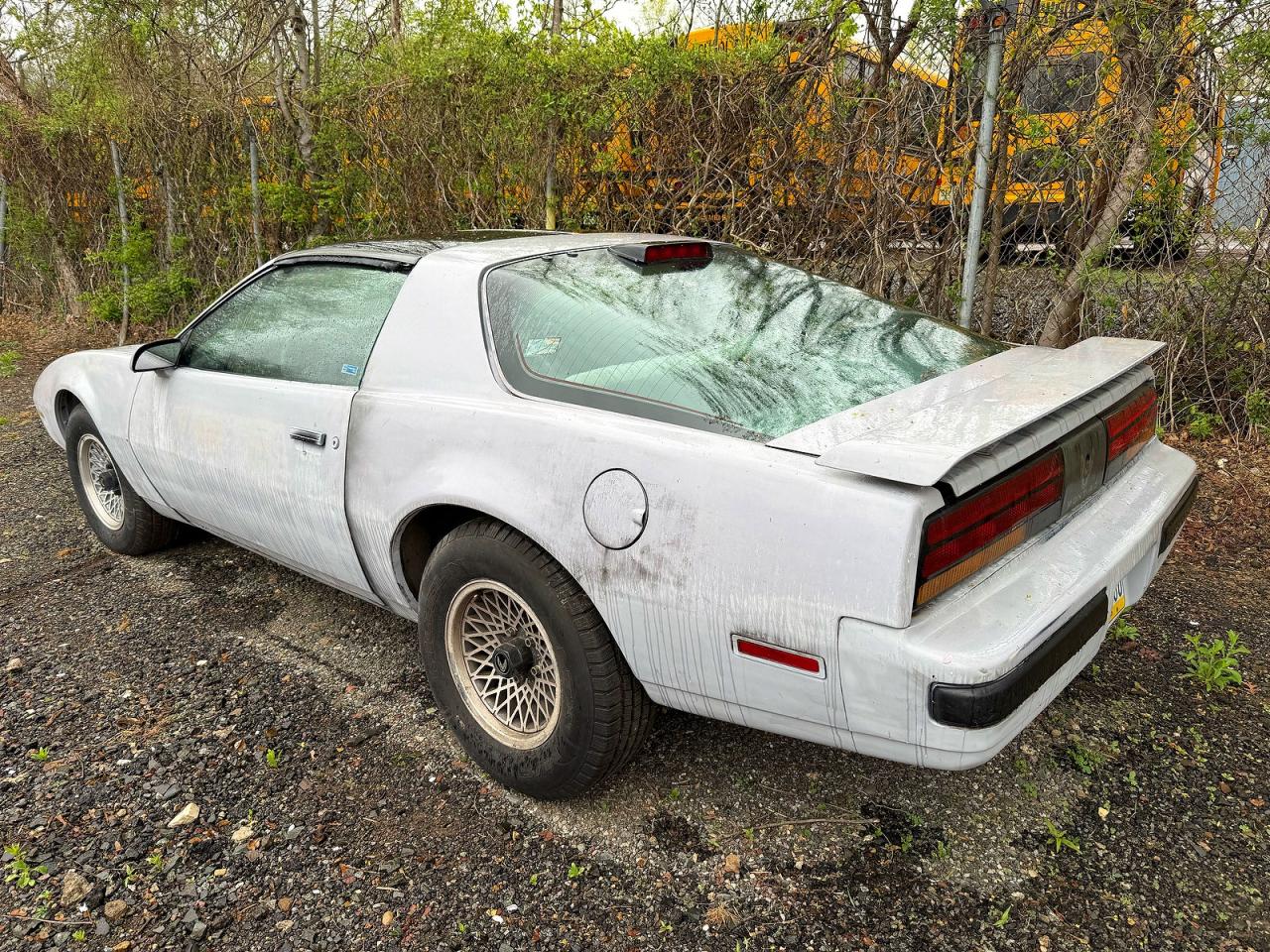 1986 Pontiac Firebird Blue vin: 1G2FS87S7GN240478