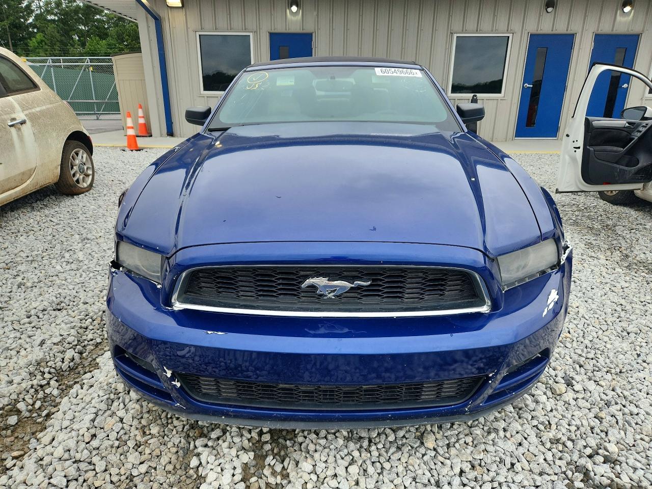 2014 Ford Mustang Blue vin: 1ZVBP8EM3E5240892