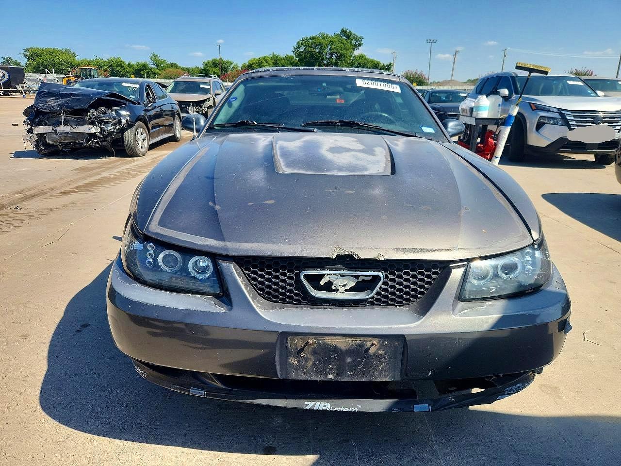 2003 Ford Mustang Угольный vin: 1FAFP44443F447643