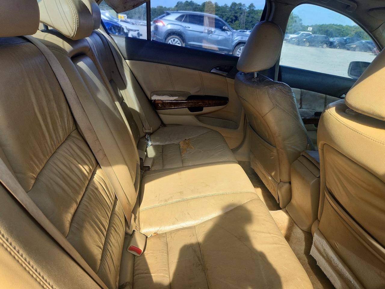 2008 Honda Accord Exl Burgundy vin: 1HGCP368X8A077120