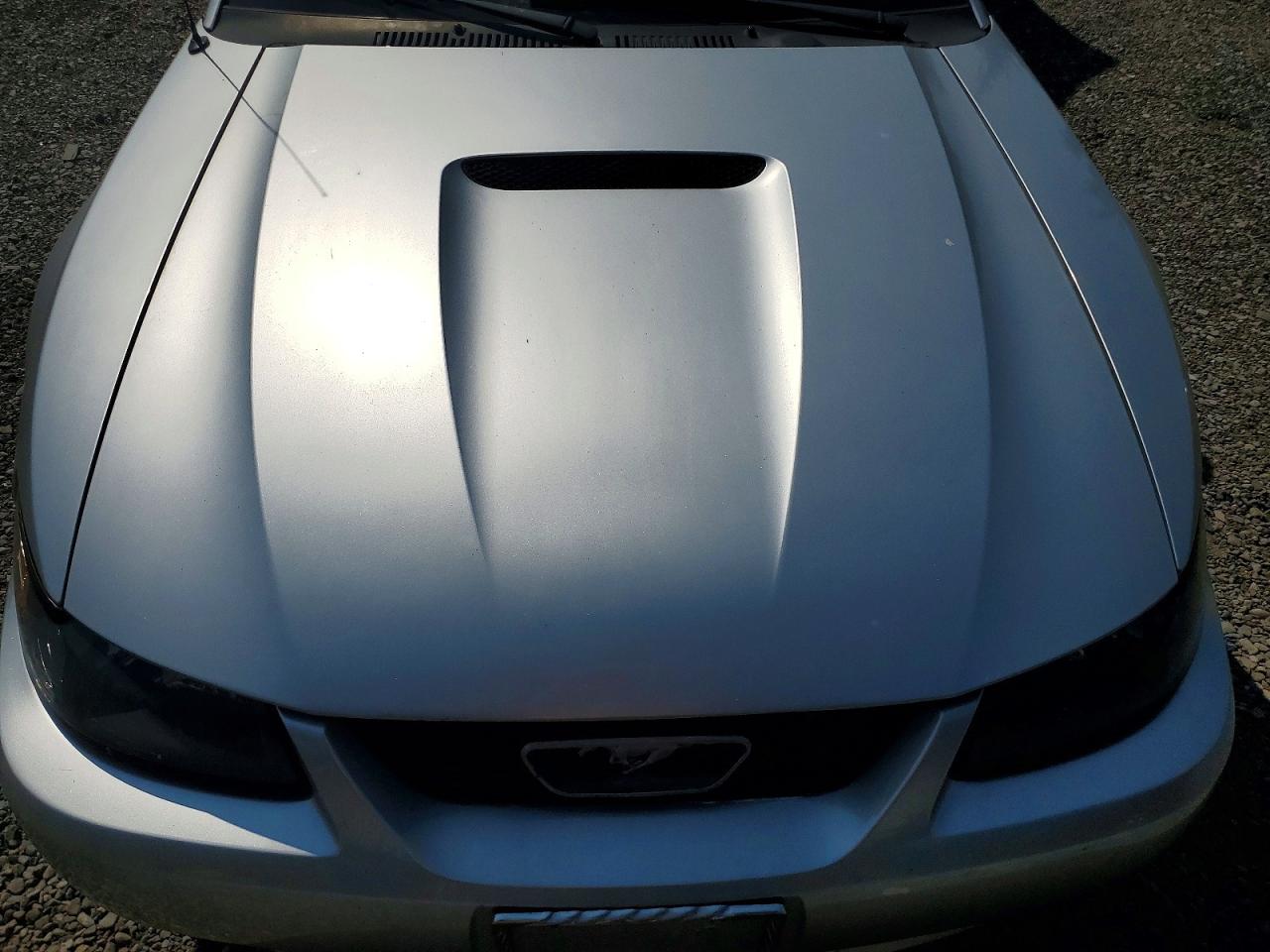 2001 Ford Mustang Silver vin: 1FAFP44491F194784