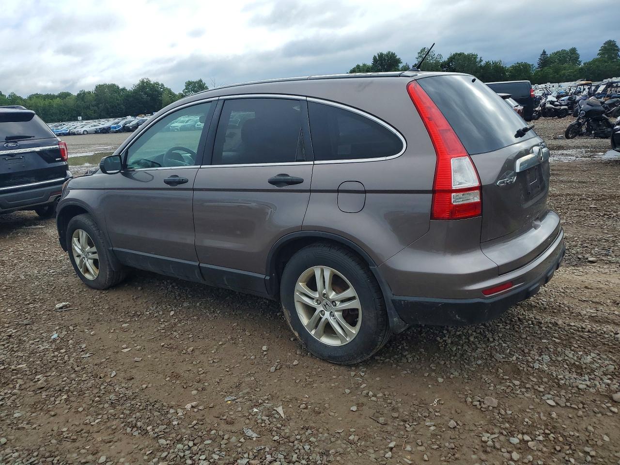 2010 Honda Cr-v Tan vin: 5J6RE4H59AL076651