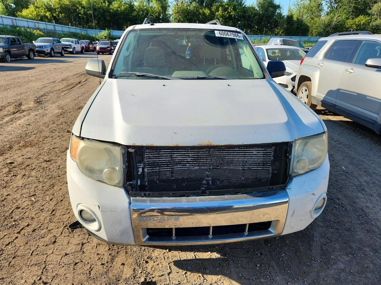2012 Ford Escape Xlt White vin: 1FMCU0D76CKB95051