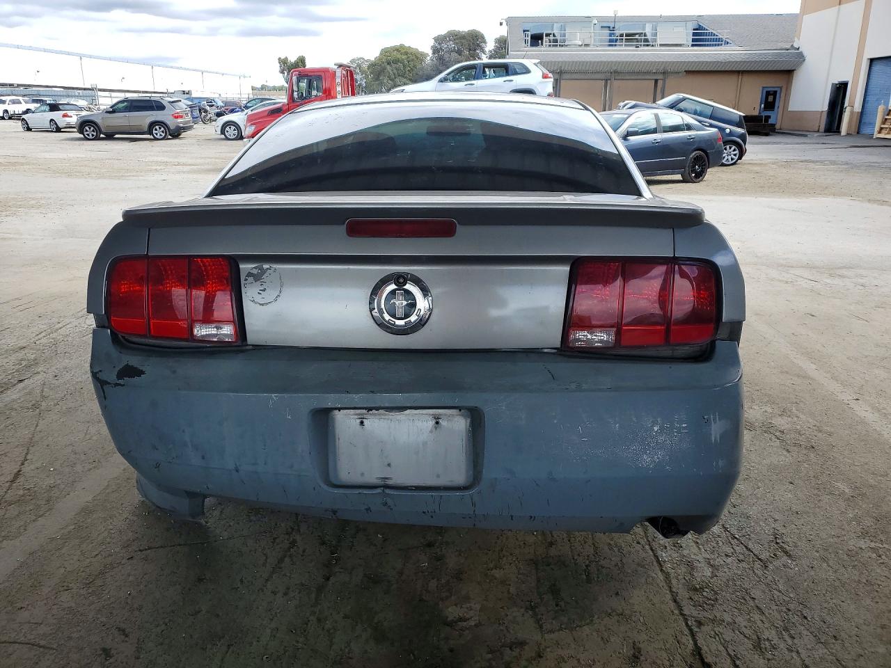 2008 Ford Mustang Gray vin: 1ZVHT80N785163342