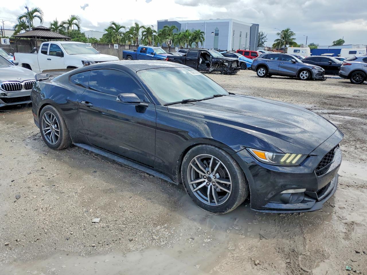 2015 Ford Mustang Черный vin: 1FA6P8THXF5357516