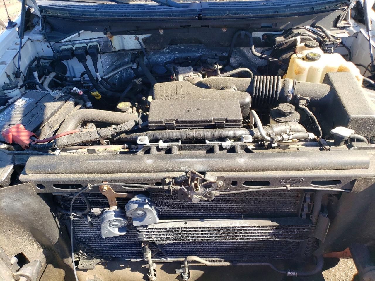 2010 Ford F150 Белый vin: 1FTMF1EW9AKE45037