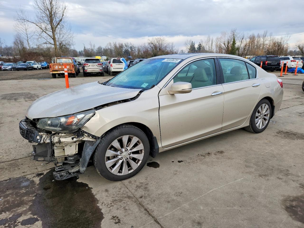 2014 Honda Accord Exl Gold vin: 1HGCR2F89EA165334