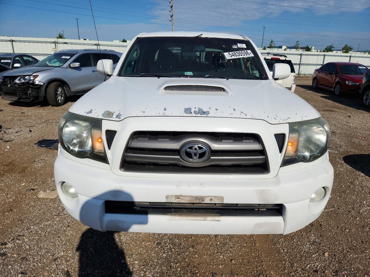2009 Toyota Tacoma Double Cab Белый vin: 3TMLU42N29M029463