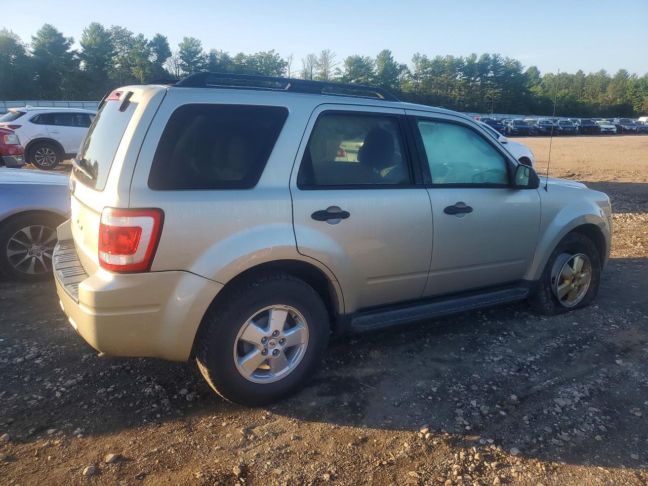 2010 Ford Escape Xlt Beige vin: 1FMCU0D72AKA54491
