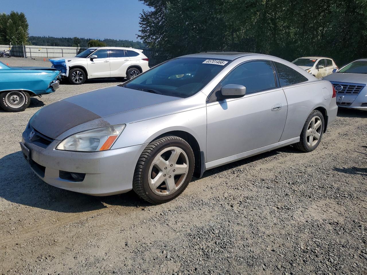 2006 Honda Accord Ex Silver vin: 1HGCM82616A006766
