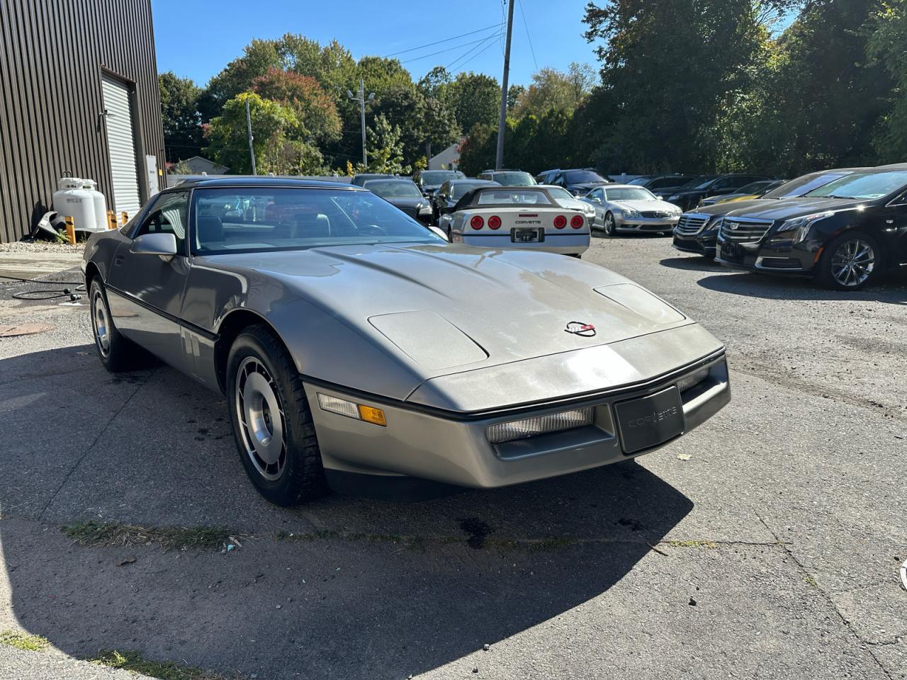 1984 Chevrolet Corvette Gray vin: 1G1AY0780E5147284