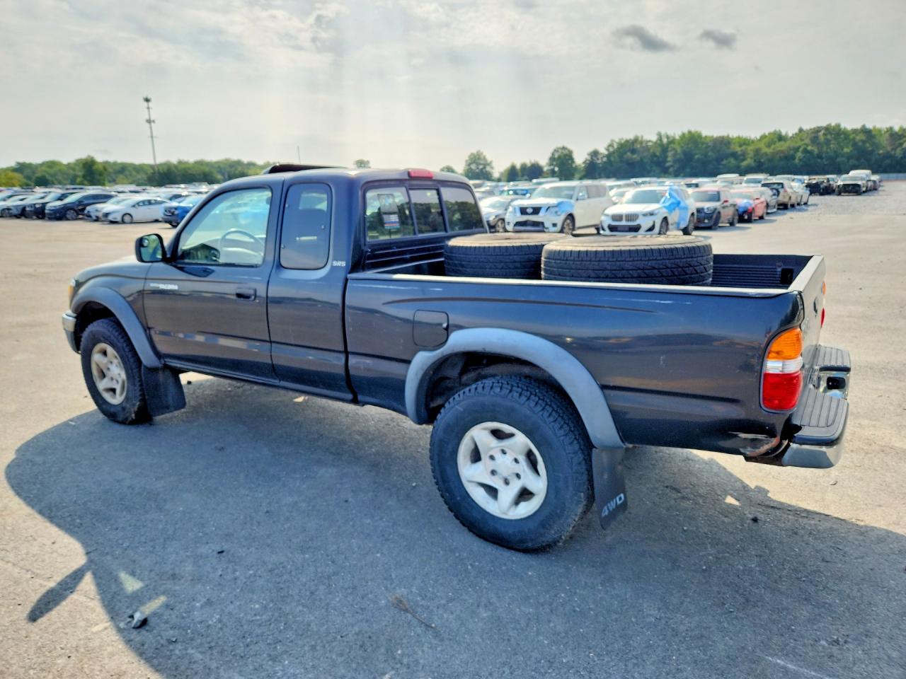 2001 Toyota Tacoma Base Black vin: 5TEWM72N91Z737831
