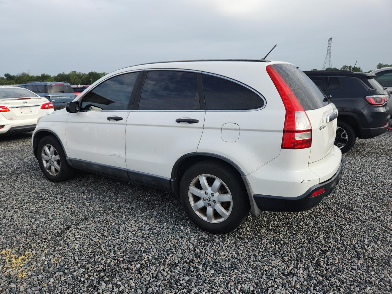 2009 Honda Cr-v Ex White vin: 5J6RE48539L064541