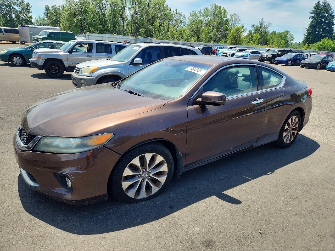 2013 Honda Accord Exl Brown vin: 1HGCT1B83DA007331