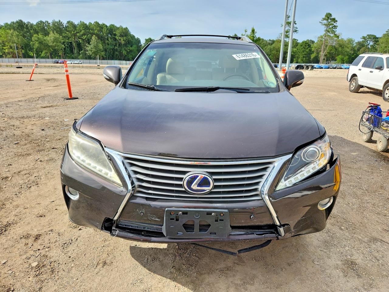 2013 Lexus Rx 450h Purple vin: JTJZB1BA6D2007636