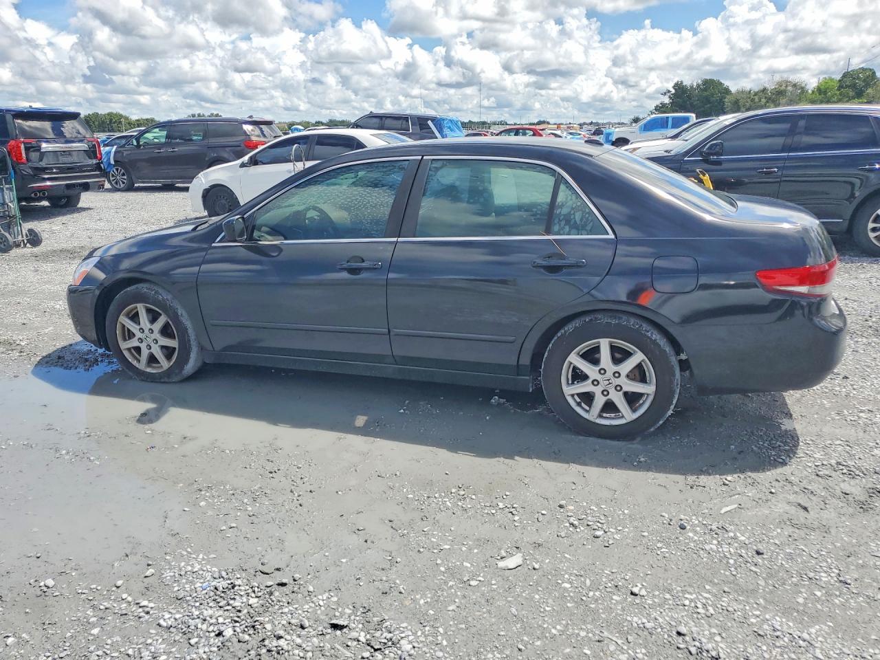 2004 Honda Accord Ex Black vin: 1HGCM66544A023662