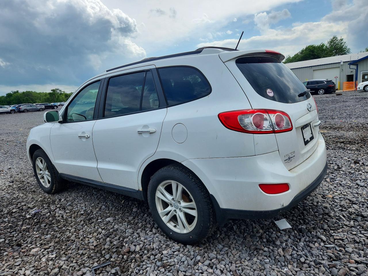 2011 Hyundai Santa Fe Limited Белый vin: 5XYZKDAG3BG026318