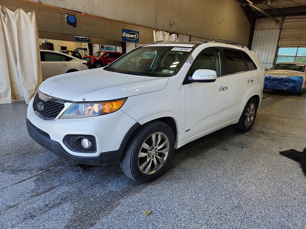 2013 Kia Sorento Sx White vin: 5XYKWDA22DG381641
