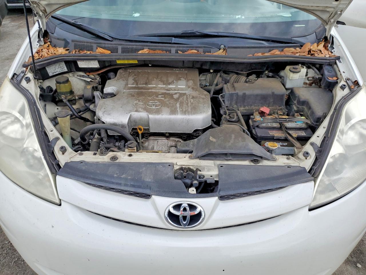 2010 Toyota Sienna Xle Белый vin: 5TDYK4CC5AS303560