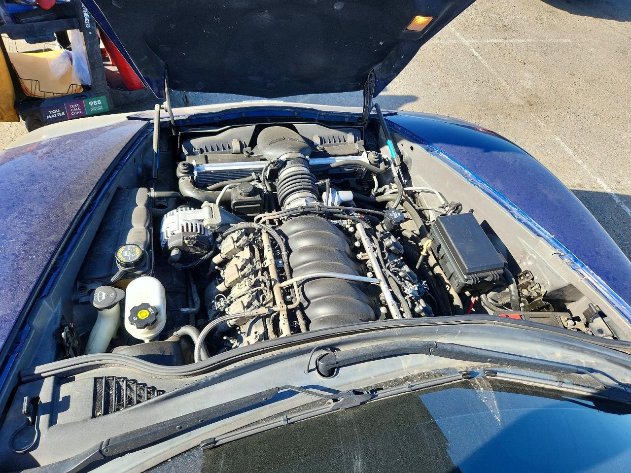2006 Chevrolet Corvette Blue vin: 1G1YY36U665119022