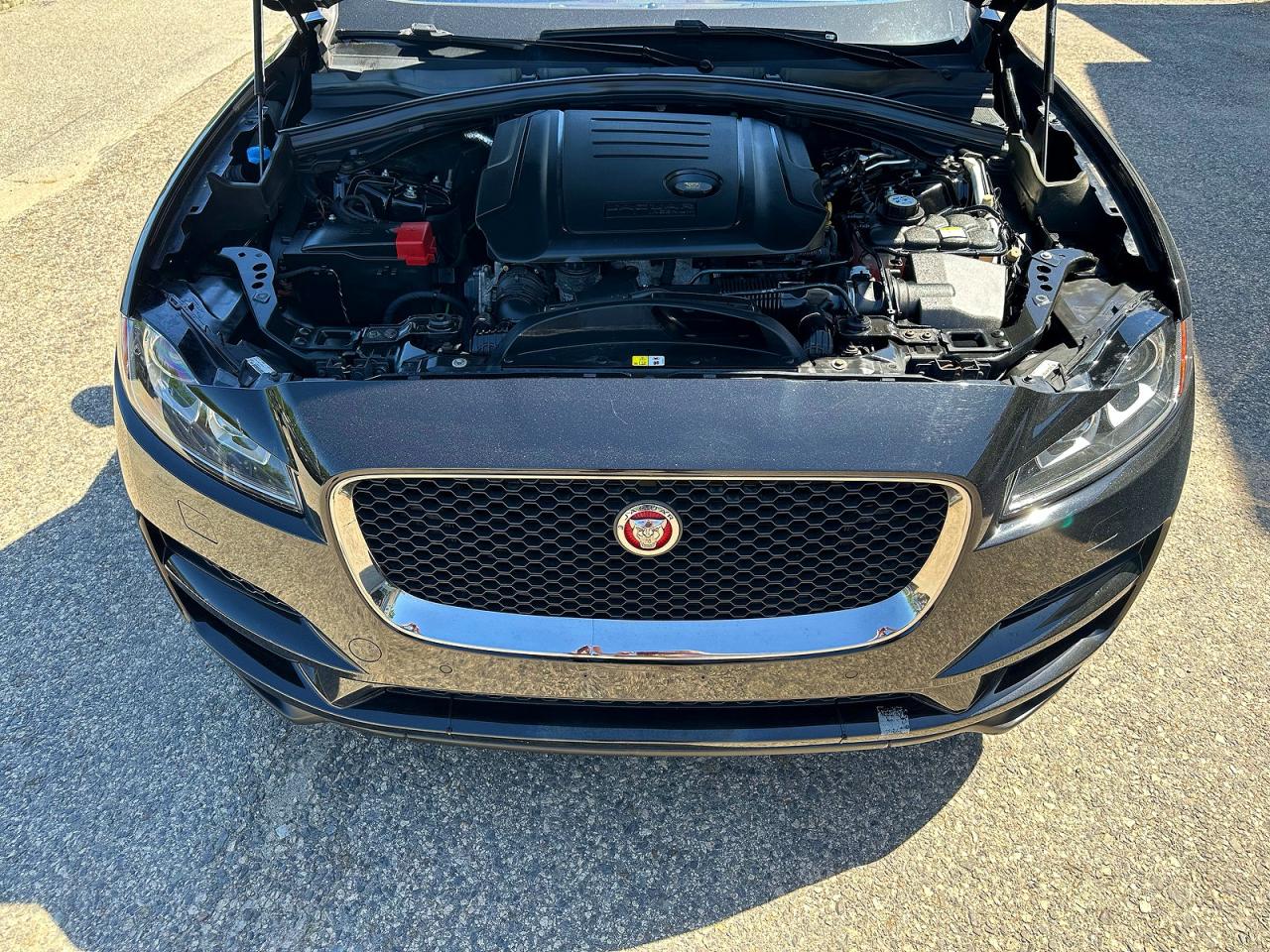 2017 Jaguar F-pace Prestige Black vin: SADCK2BN7HA085506
