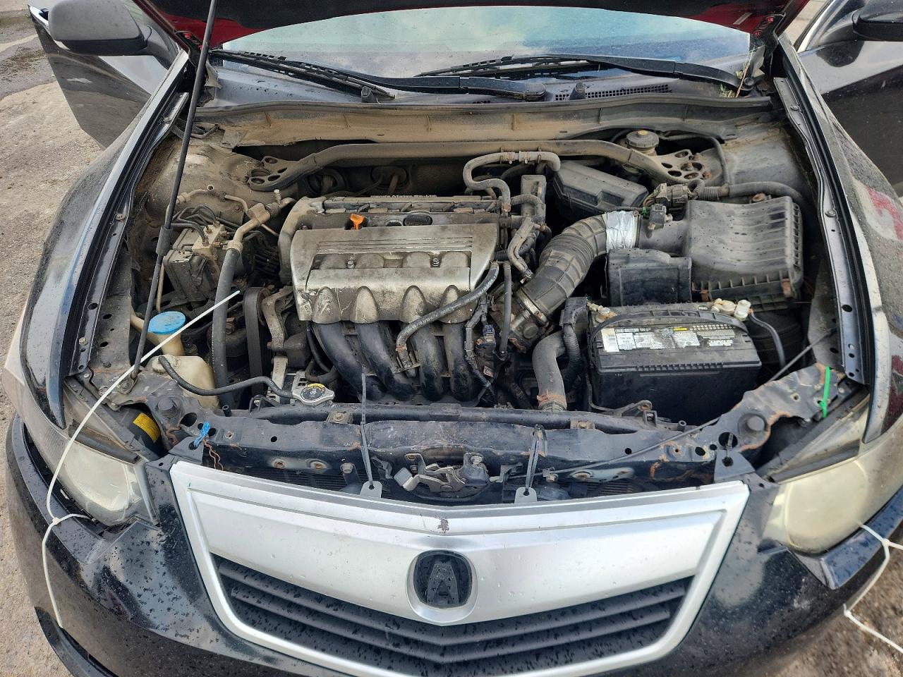 2010 Acura Tsx Черный vin: JH4CU2F60AC040554