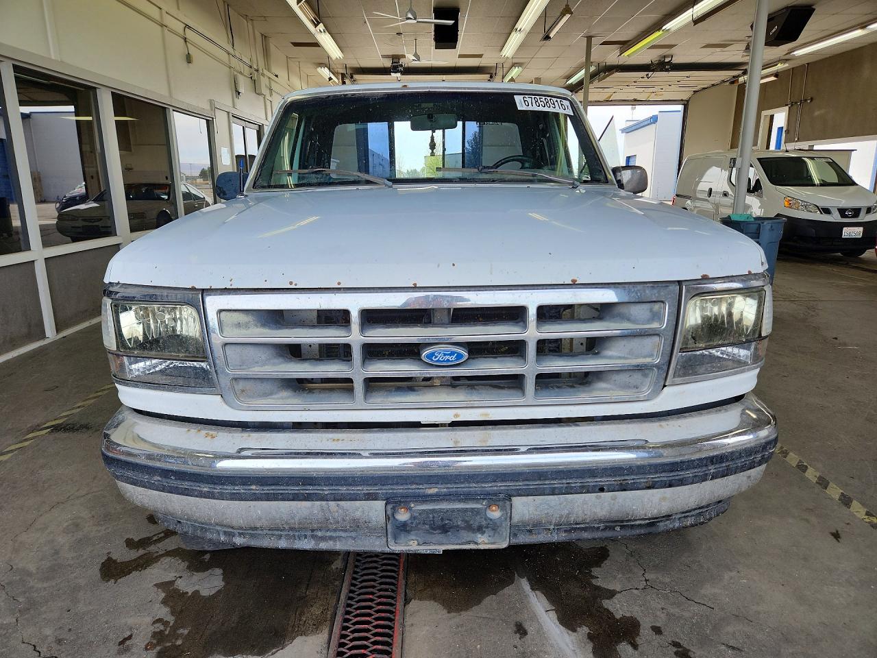 1993 Ford F150 Белый vin: 1FTEX14Y7PKB56686